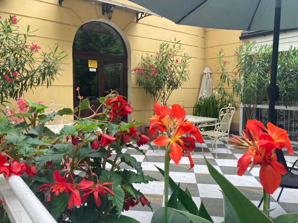Hotelik Polonia Łowicz المظهر الخارجي الصورة